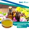 Isovaleric Acid, also known as 3-methylbutanoic acid, is a short-chain fatty acid that is naturally found in a variety of foods such as cheese, beer, and wine, as well as in certain types of plants.
